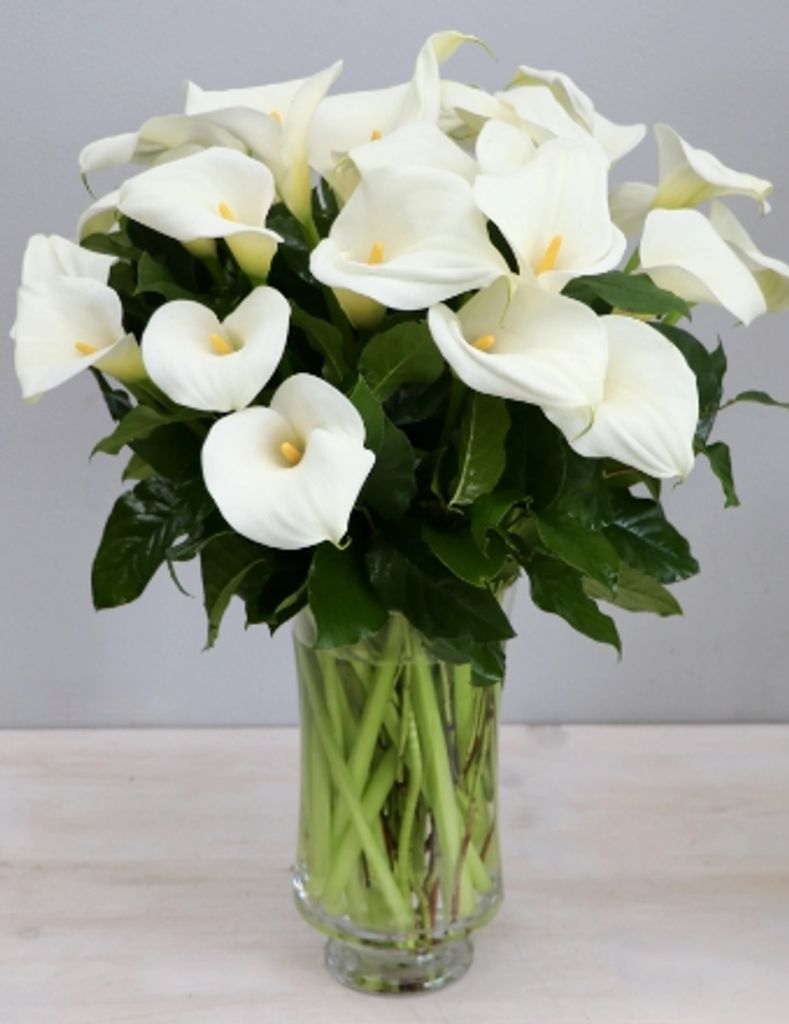 Harleen Evelyn Bogardus