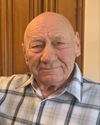 Donald L Denison's obituary image