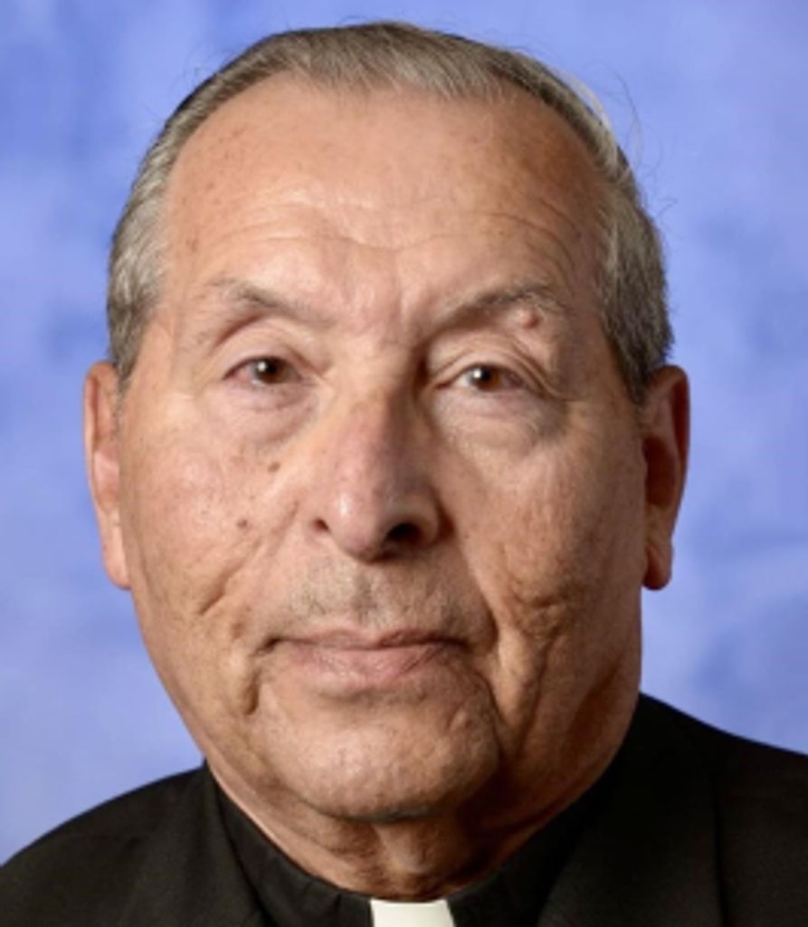 Rev. Msgr. William Collins Profile Photo