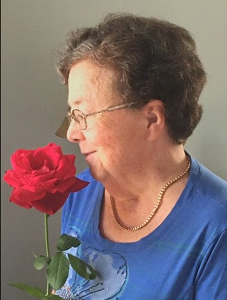 Linda Ann (Walker)  Darsey Profile Photo