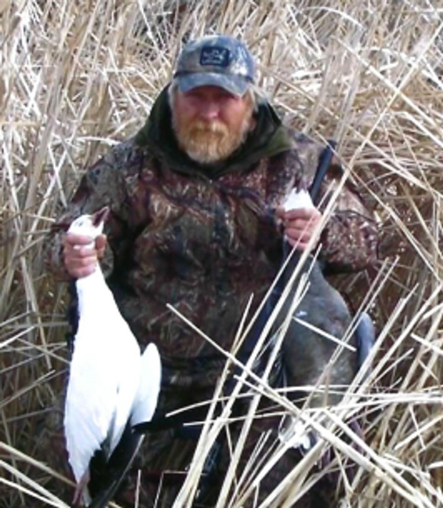 Roger Roy Nelson Jr Profile Photo