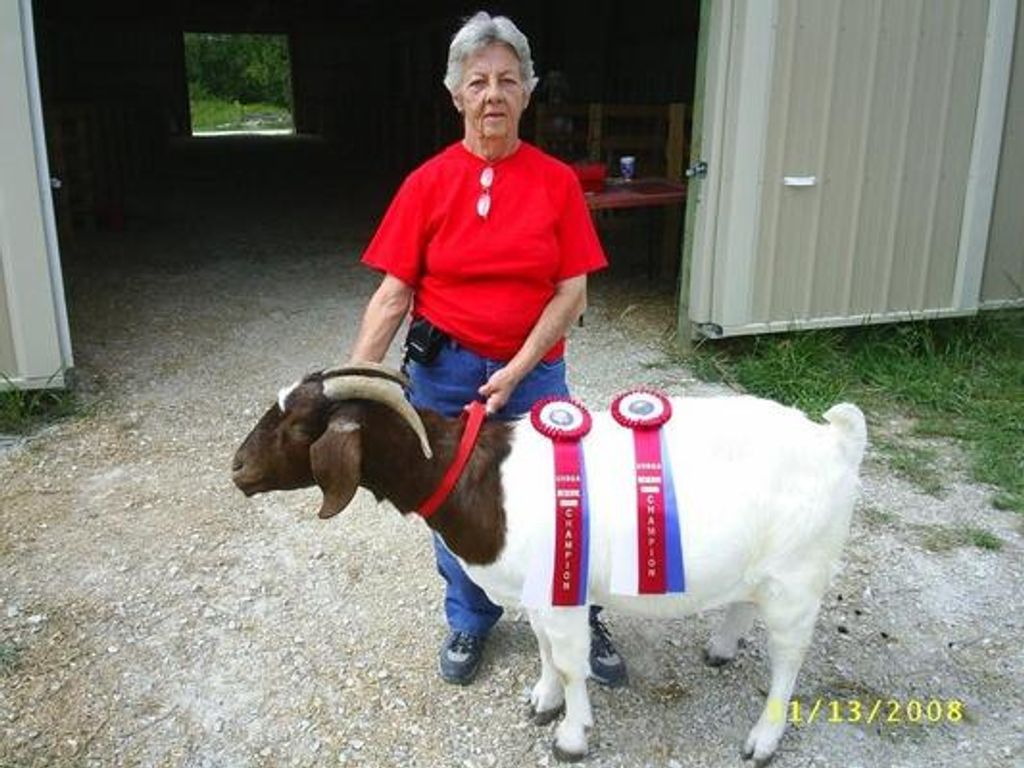 Judith Pearl Phillips Profile Photo