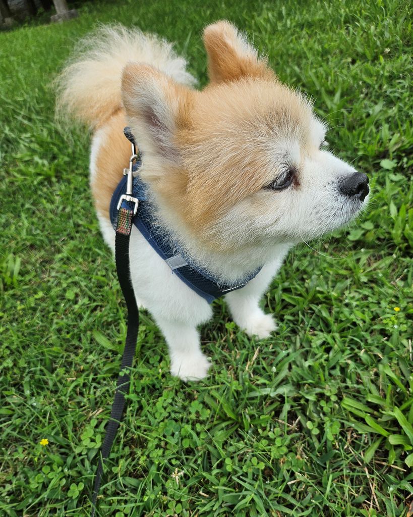 Brody Barksdale Profile Photo