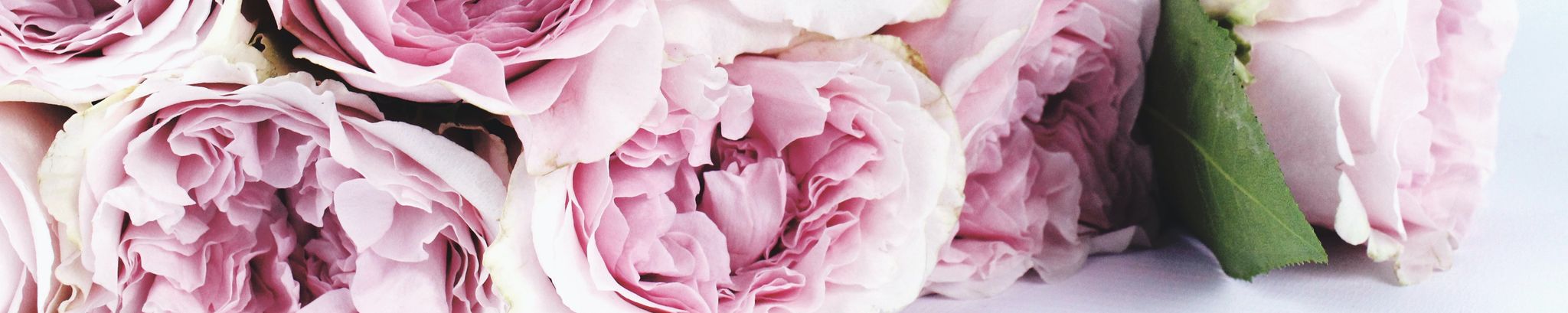 Cover photo for Joyce M. Geyer's Obituary