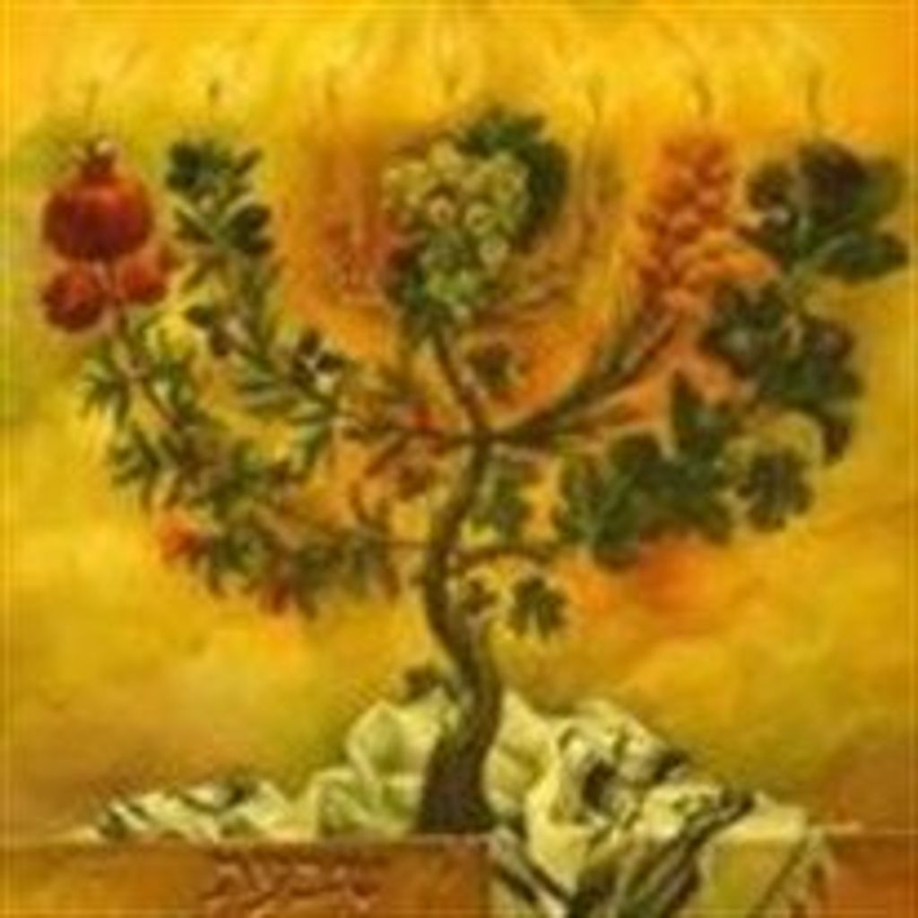 Nettie  Sherr Kitzes