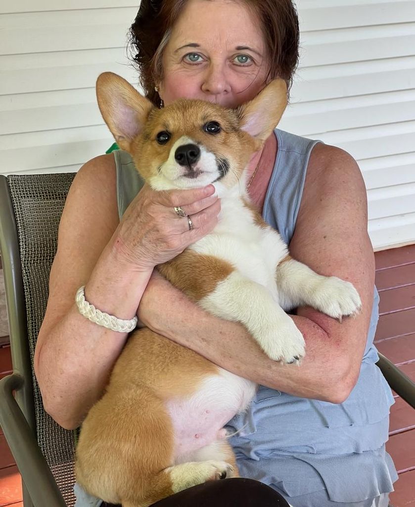 Patricia A. Davison Profile Photo