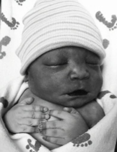 Alakai Alexander Raymond Profile Photo