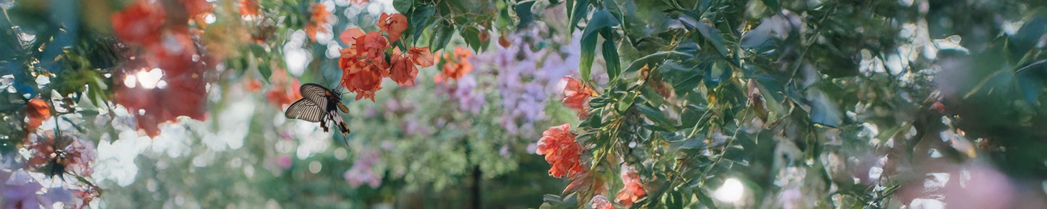 Cover photo for Barbara Ann Griffin's Obituary