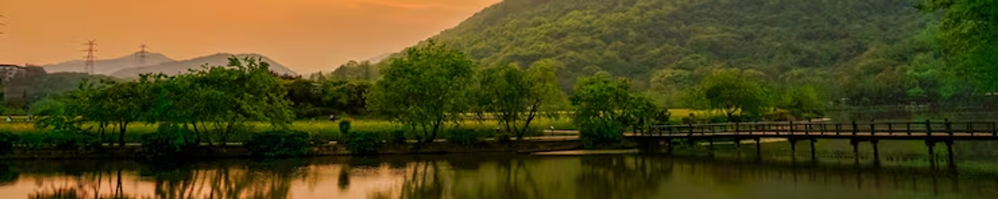 Cover for Chandrika Prasad's Obituary