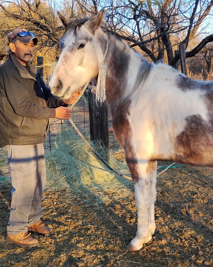 Regulo Rosas Profile Photo