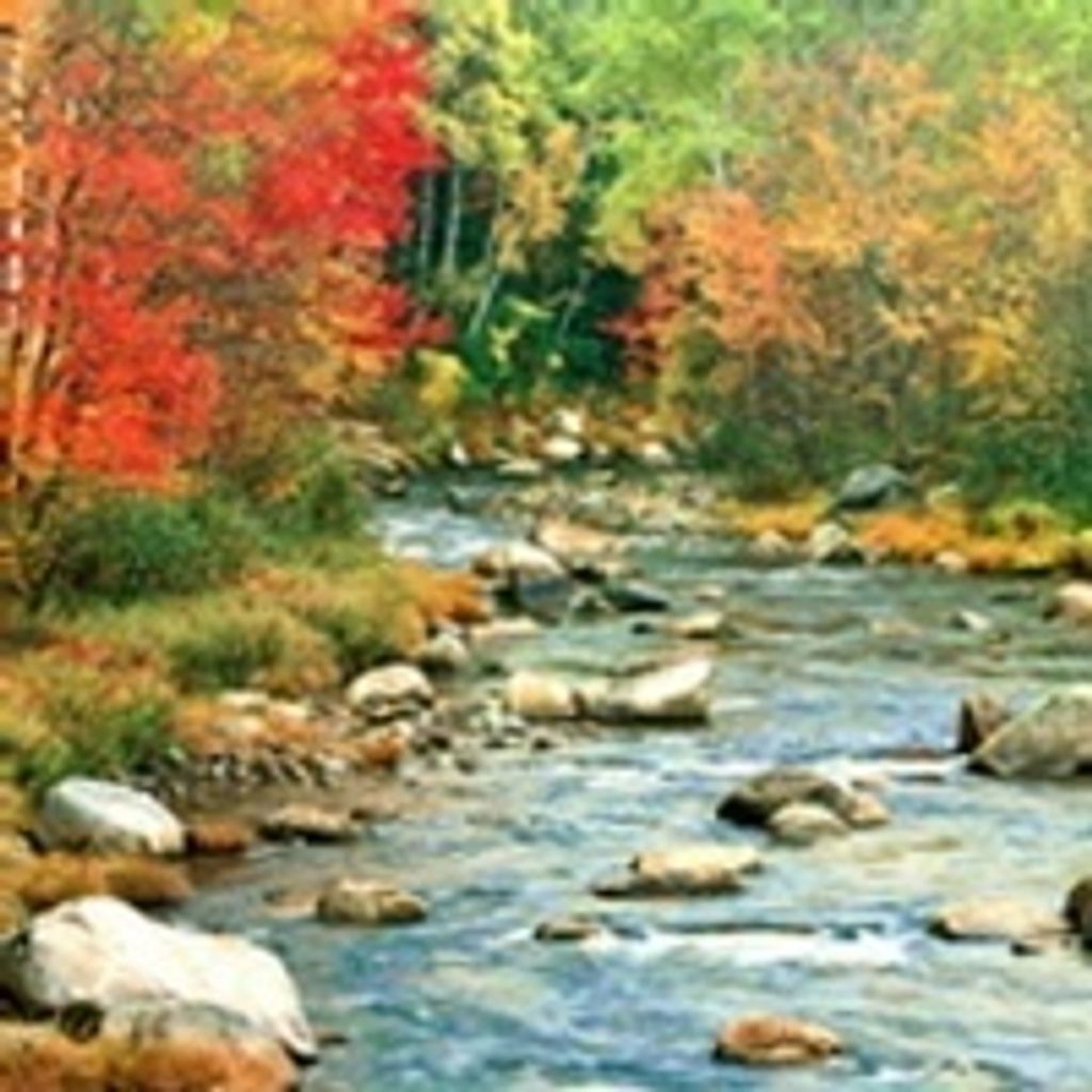 Betty Jean Rowell Profile Photo