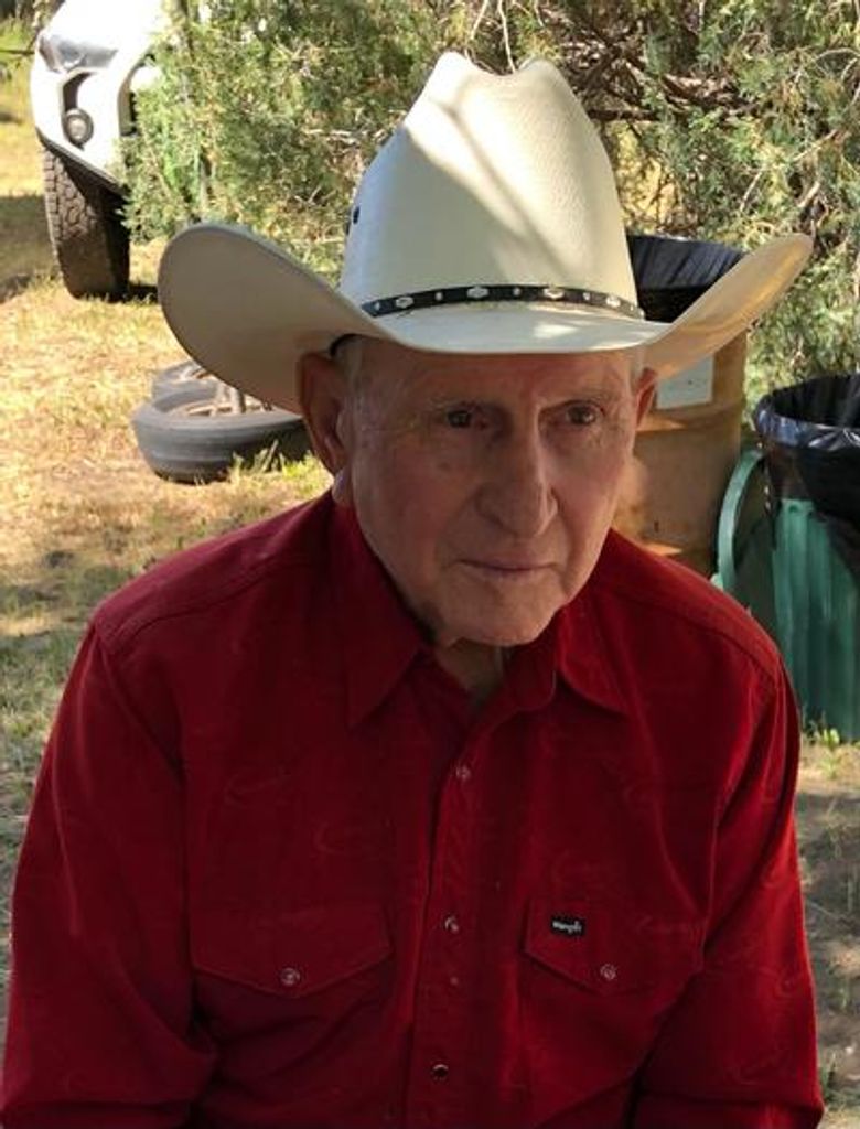 Travis Potter Profile Photo