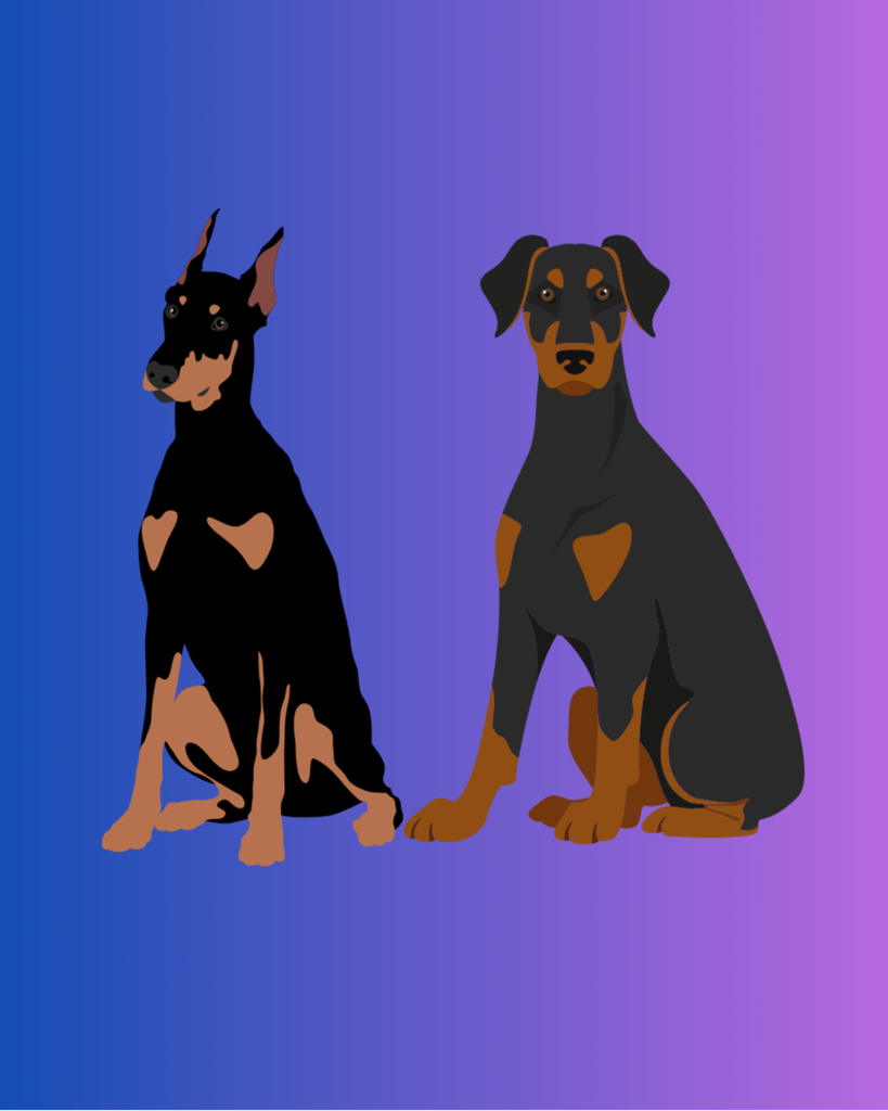 Atticus Arnold Profile Photo