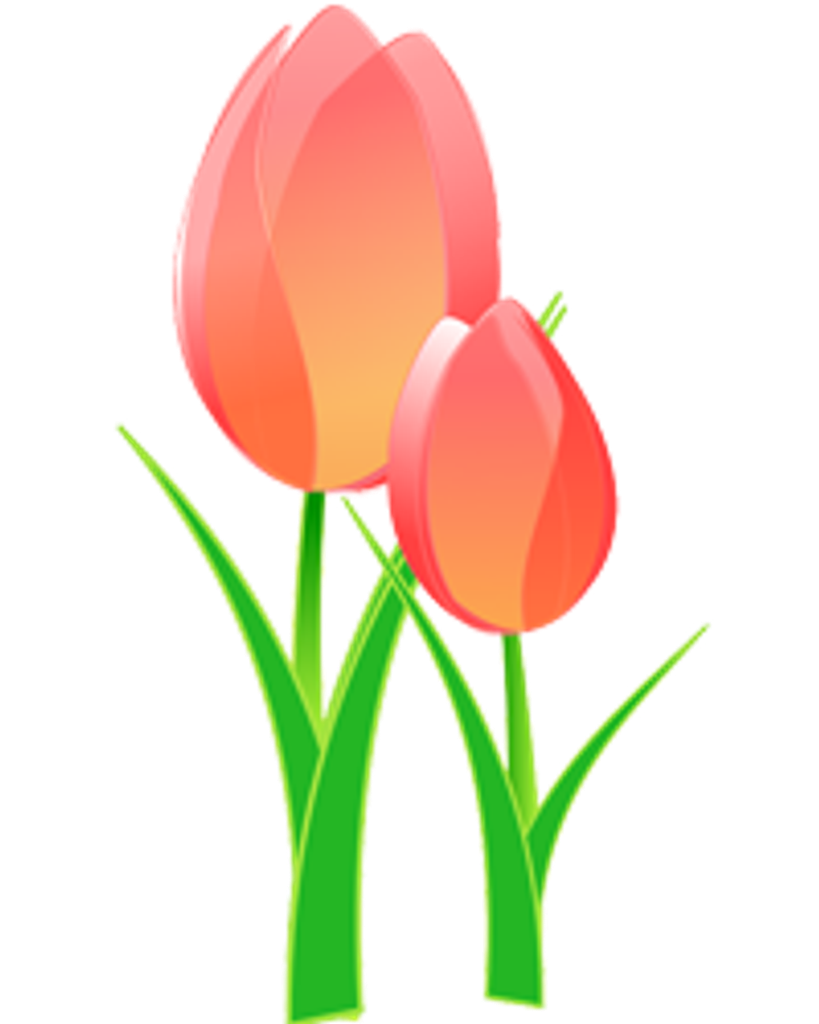 Amyleigh Shipley Profile Photo