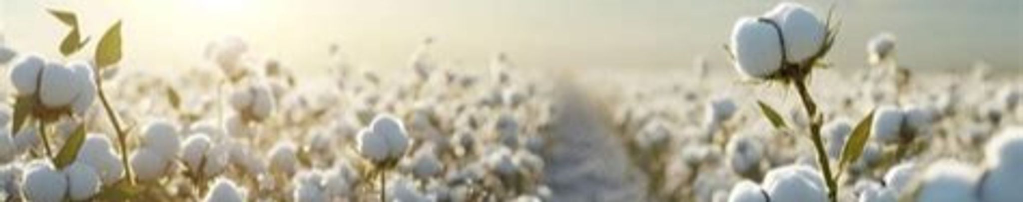 Cover for Bobby S. Woodruff's Obituary