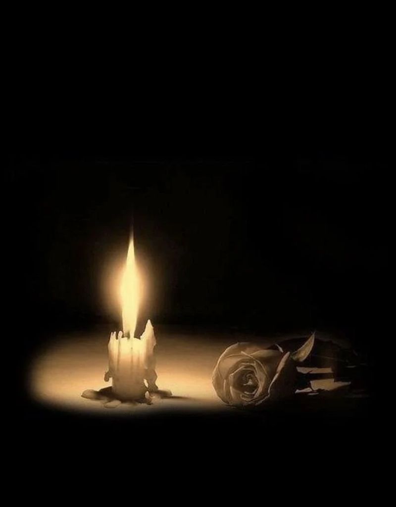 Matthew Love Profile Photo