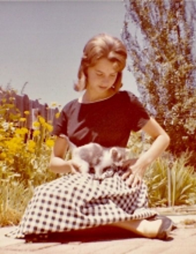 Karen S Horton