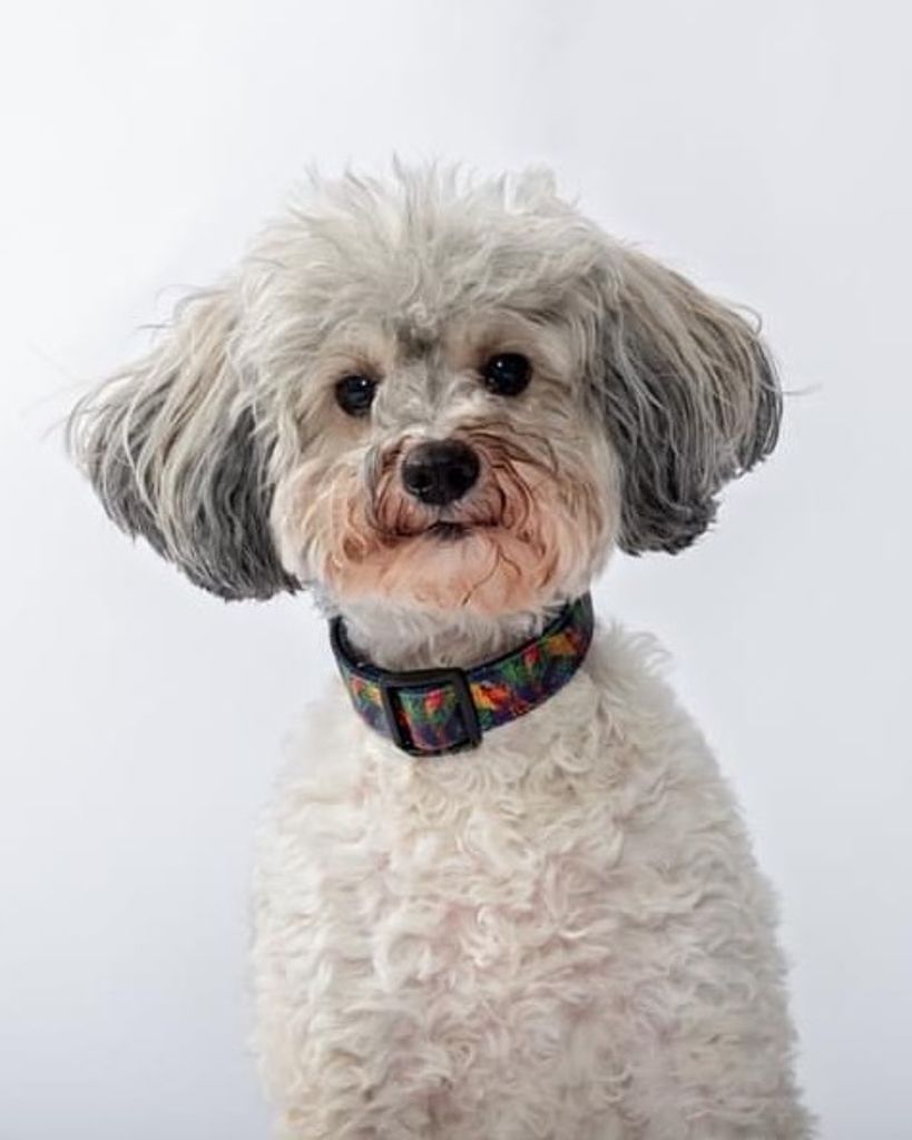 Mia Ried Profile Photo