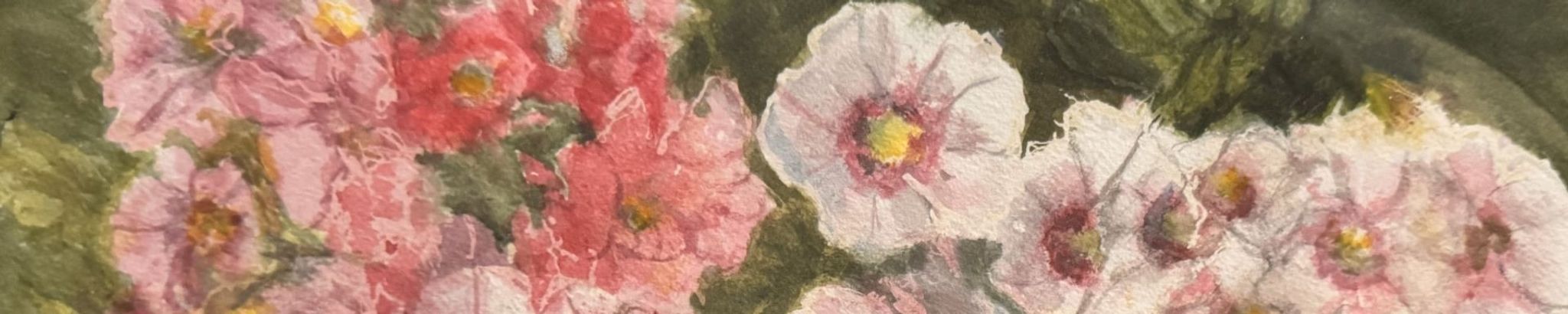 Cover for Norma Jane Walako's Obituary
