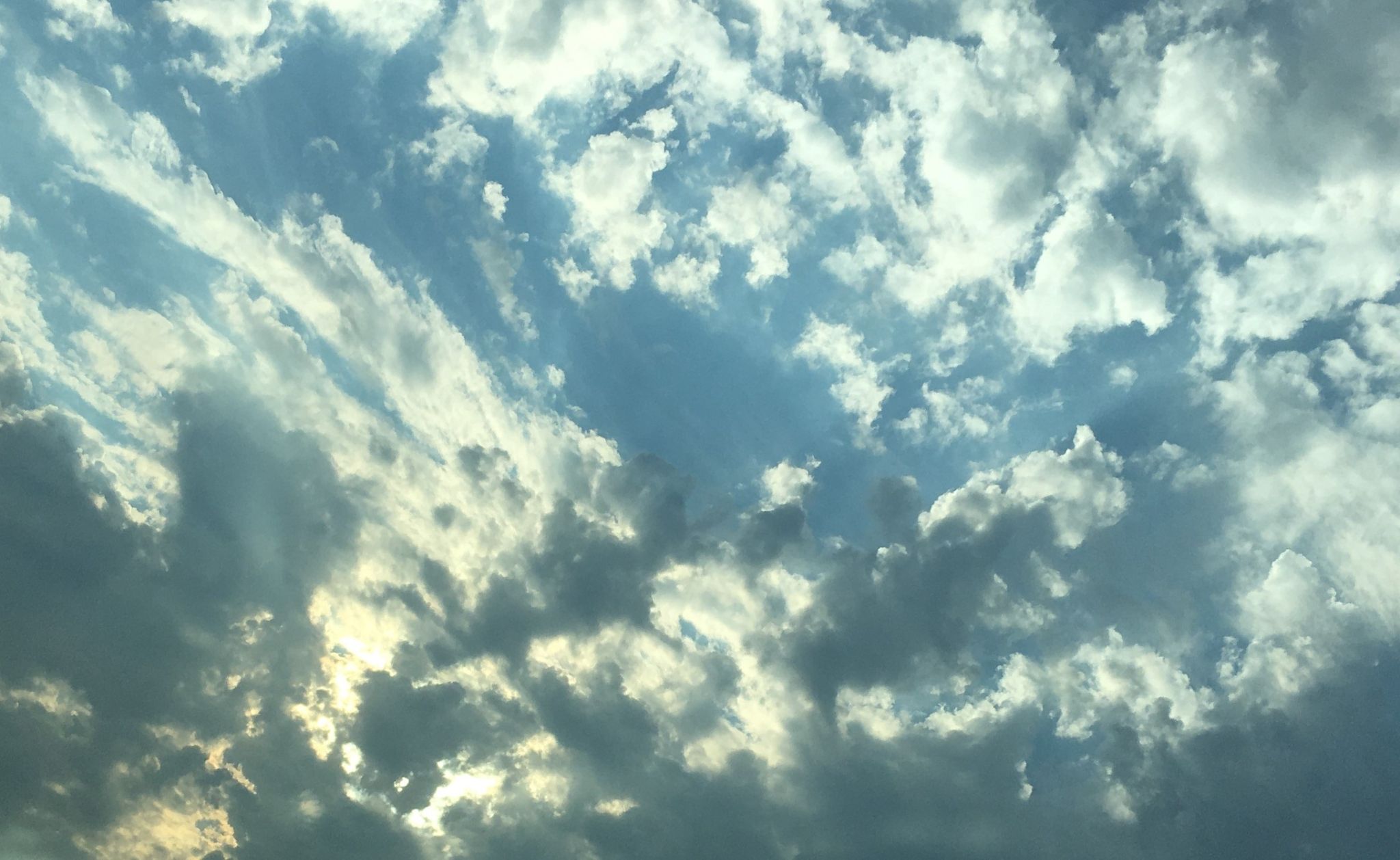 Cover photo for Kathryn Zinsli's Obituary