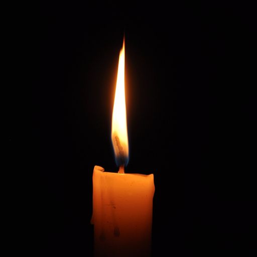 Mary R. Schweitzer Profile Photo