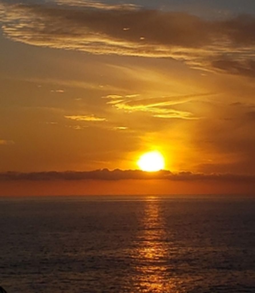 Sr. Josephe Flynn Ssnd Profile Photo