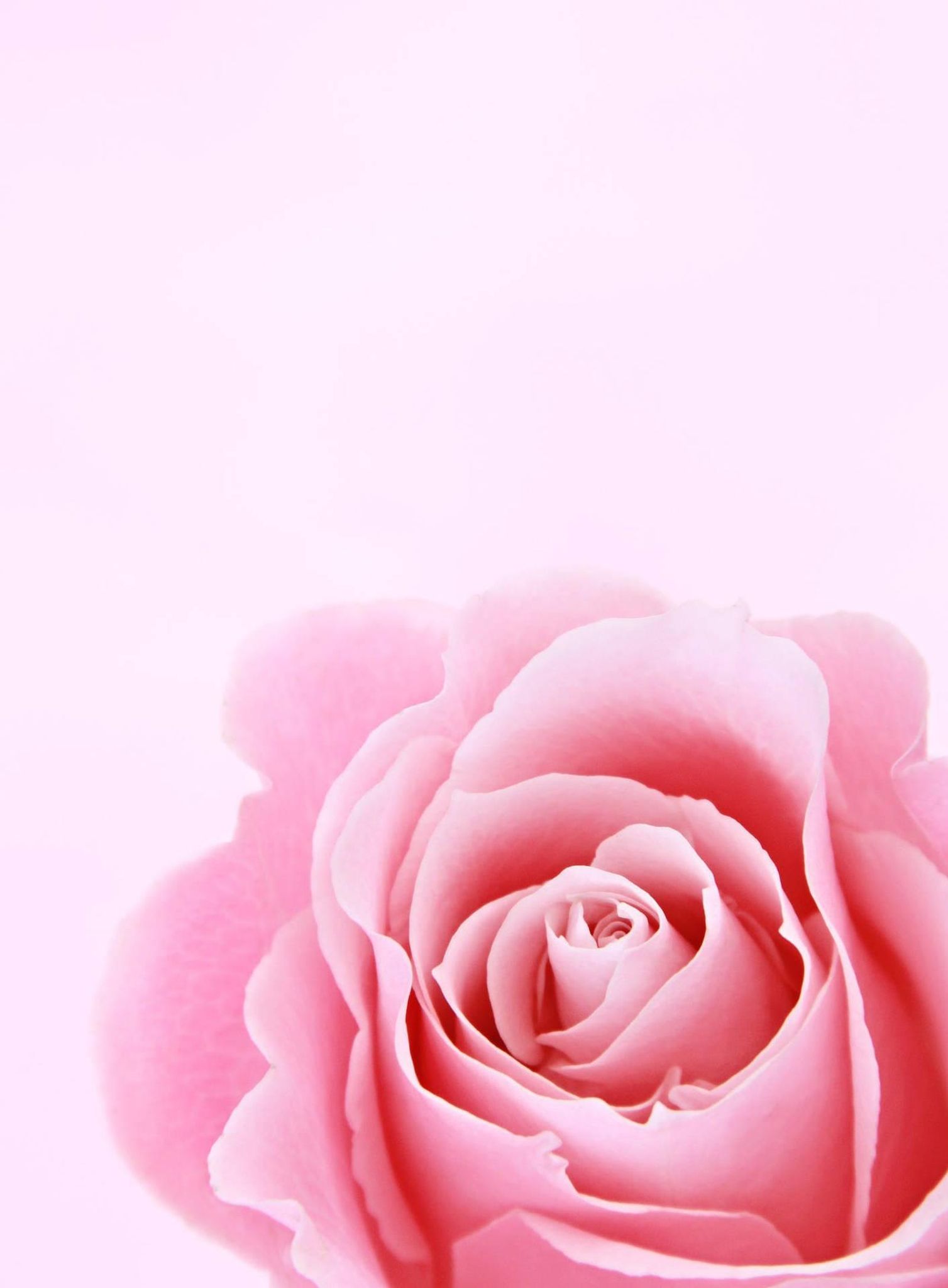 Cover for Mary Lou Carlyle Carstensen's Obituary