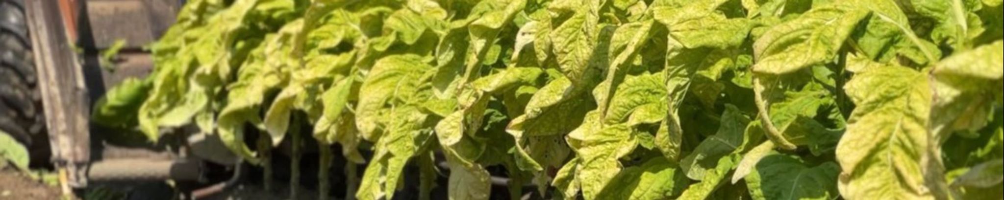 Cover for James "Larry" Barbour's Obituary