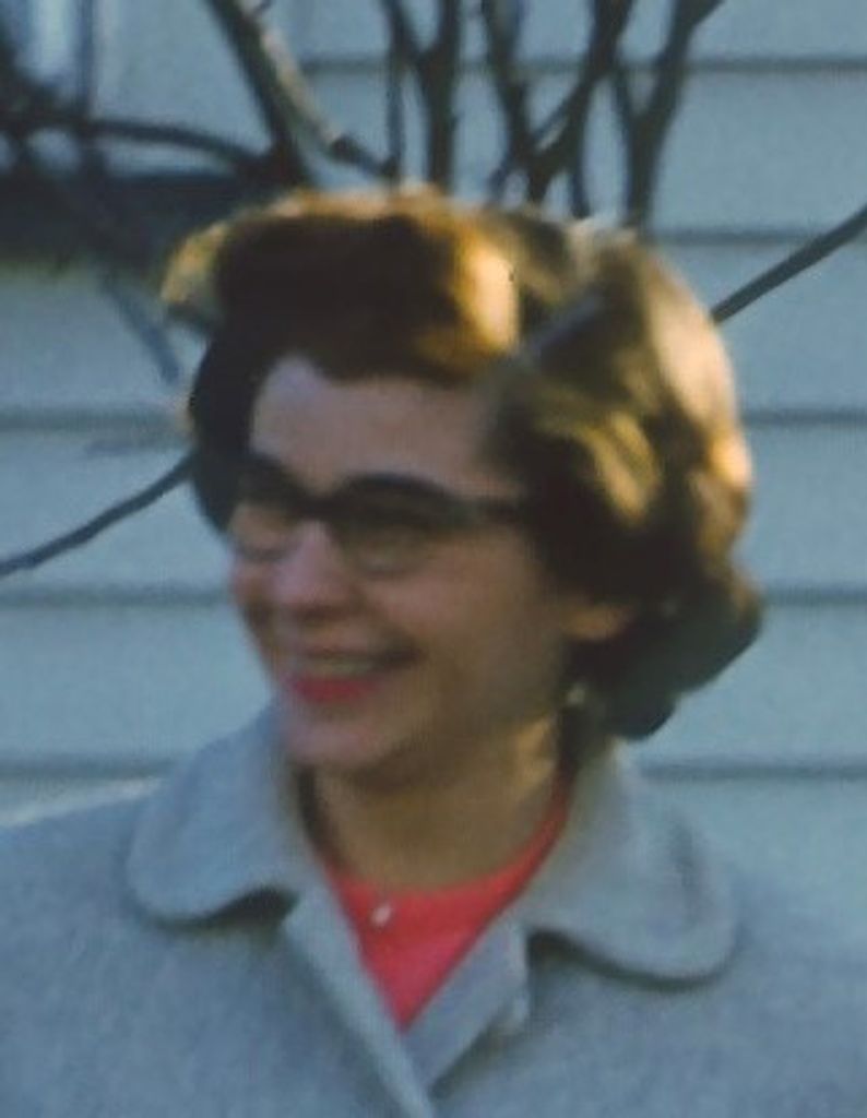 Merle R. (Shannon)  Riehl