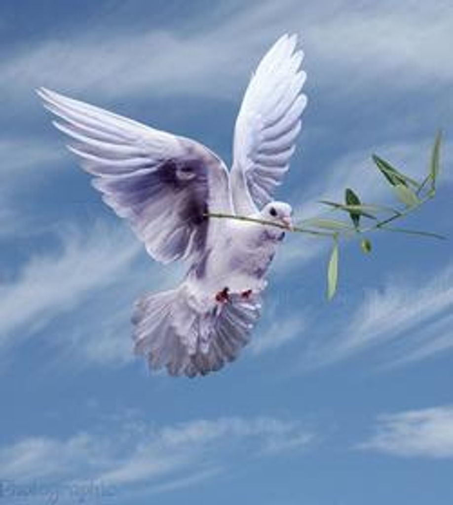 Norma Jean "Jeannie" Wright