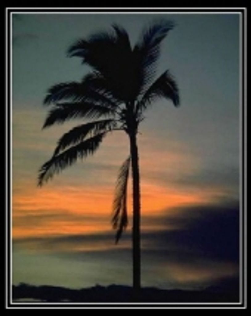 Elaine  Pund Druffel