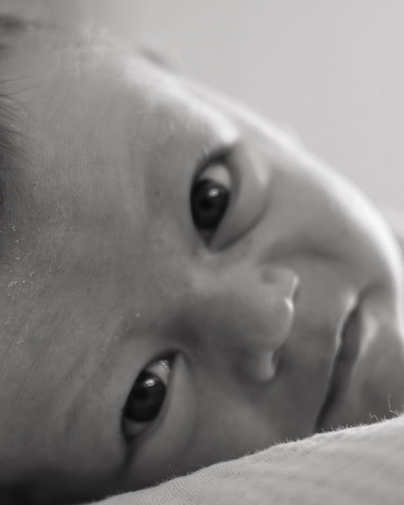 Cohen Matthew Scoles