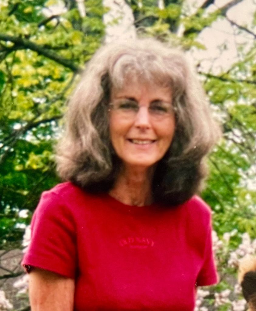 Mary Bouchard Profile Photo