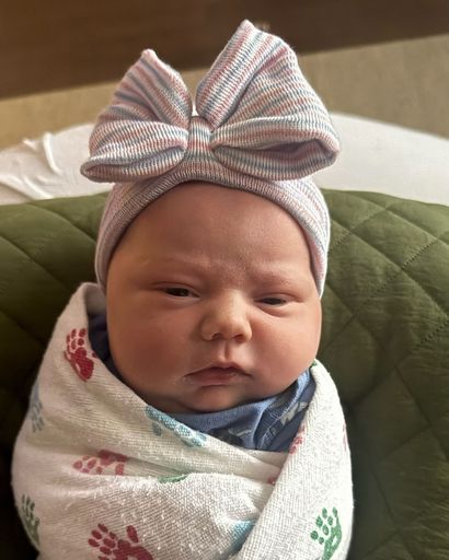 Taylie Brooke Michelle Wilcox Profile Photo