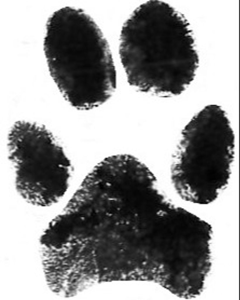Baxter Smithey Profile Photo