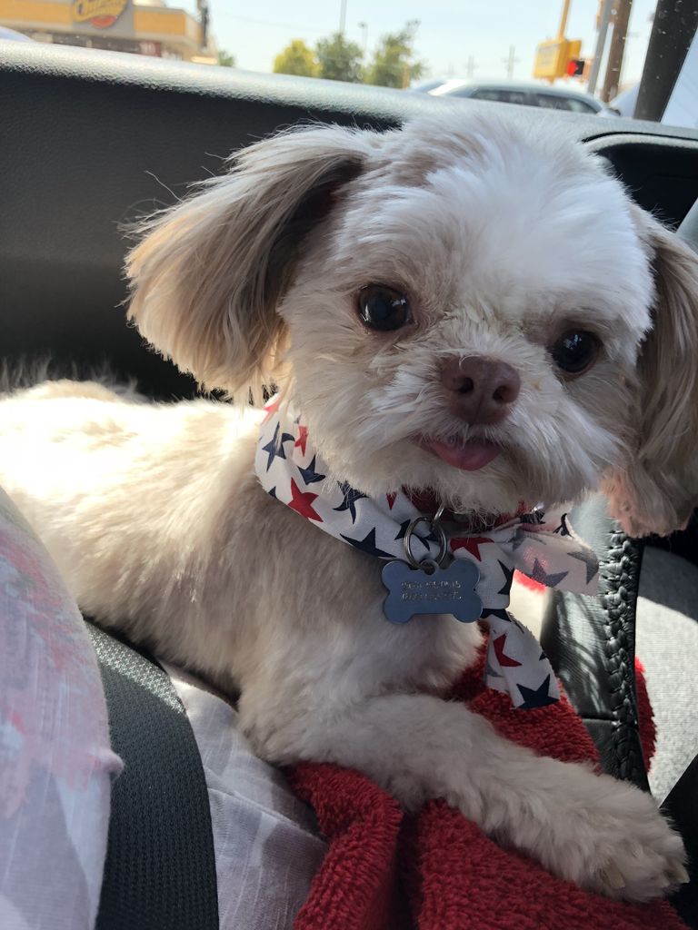 Oliver Profile Photo
