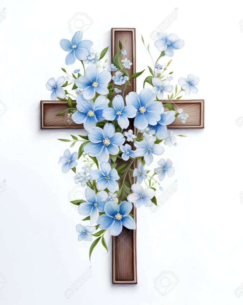 Carmen Matos Estrada Profile Photo