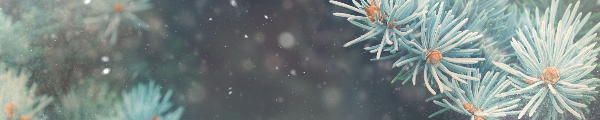 Cover photo for Marie Gabura's Obituary