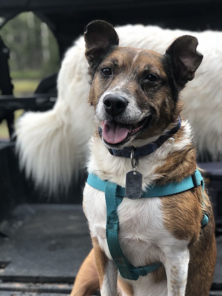 Dally Profile Photo