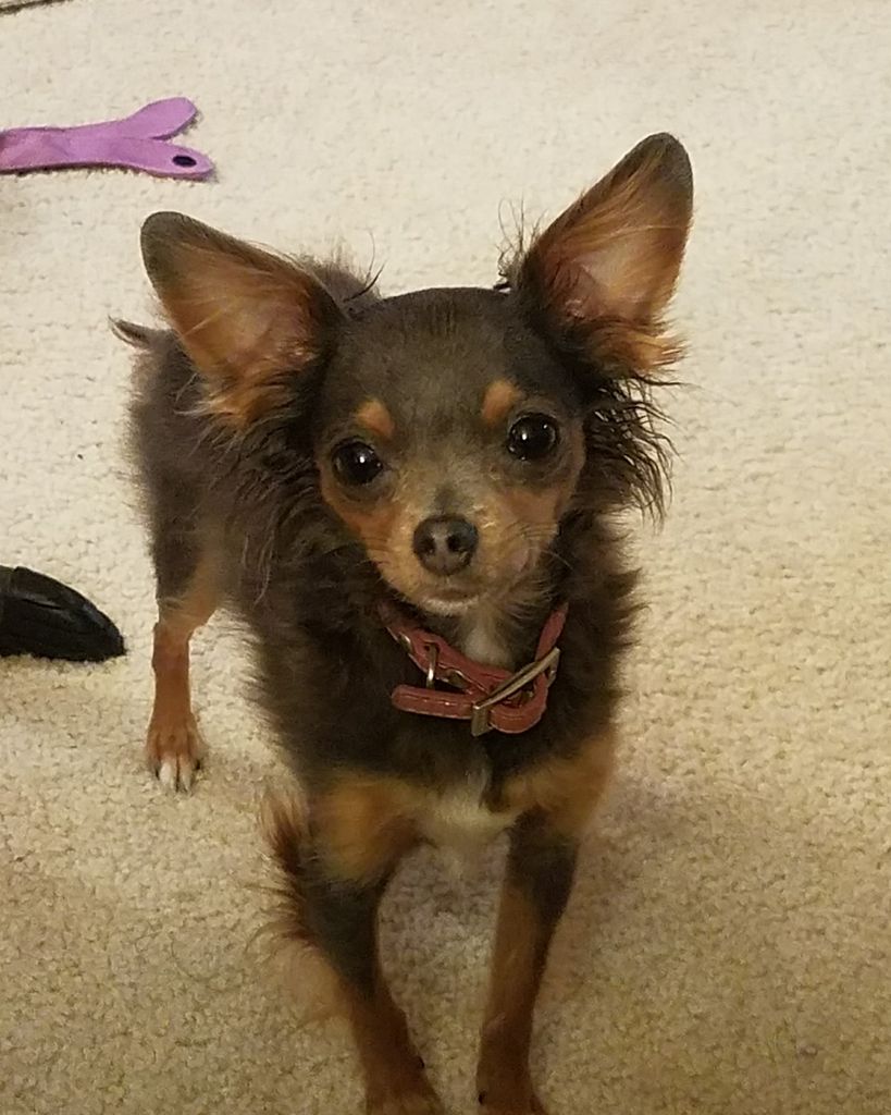 Sinni Francis Profile Photo