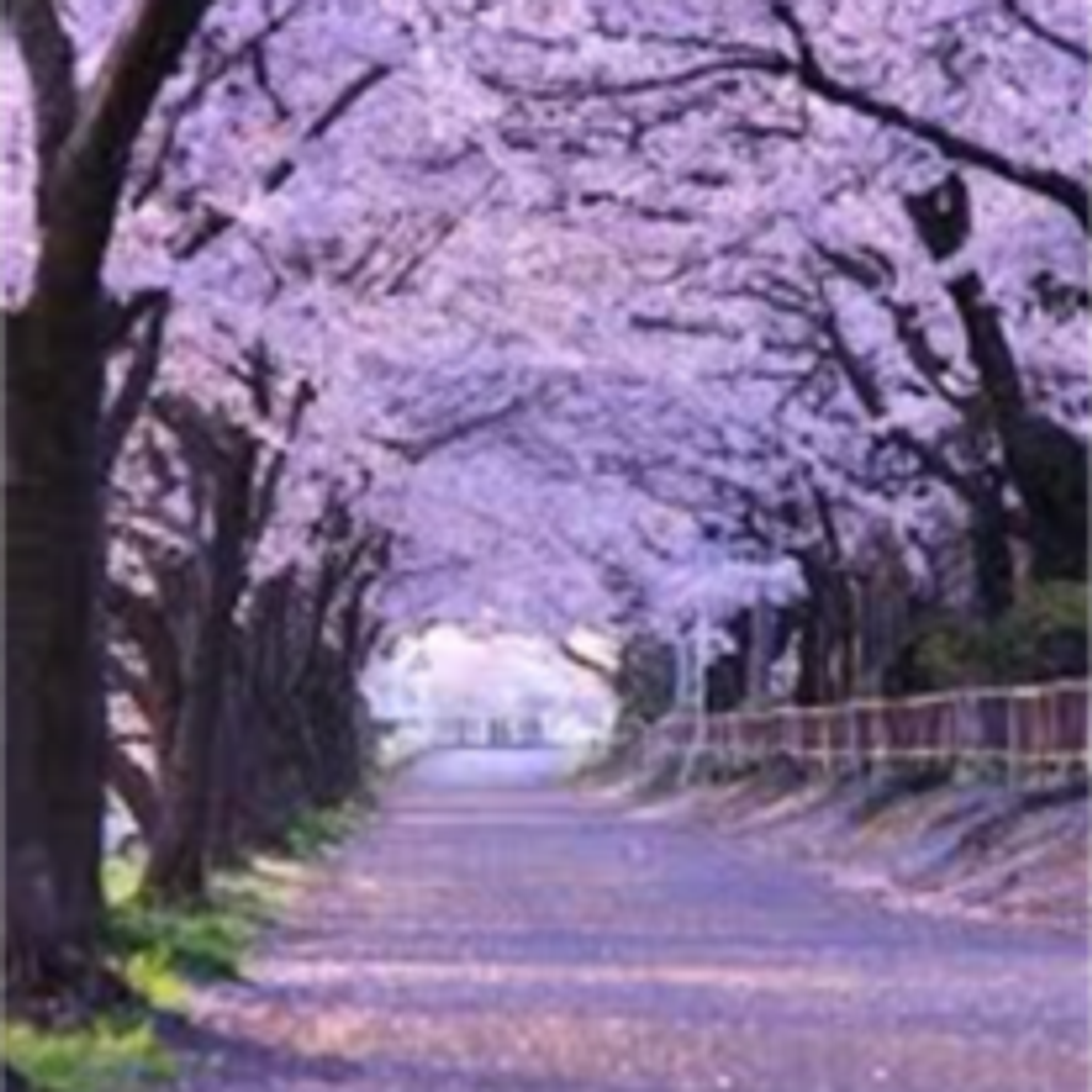 Debora Mae Waite Profile Photo