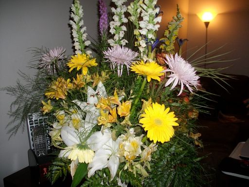 Kevin Bergin photo gallery thumbnail 5 of 9