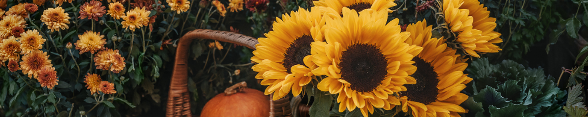 Cover for Claudine Cossey's Obituary