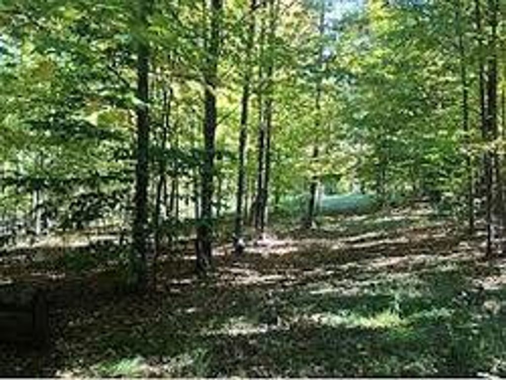 Frederick Shaw Profile Photo