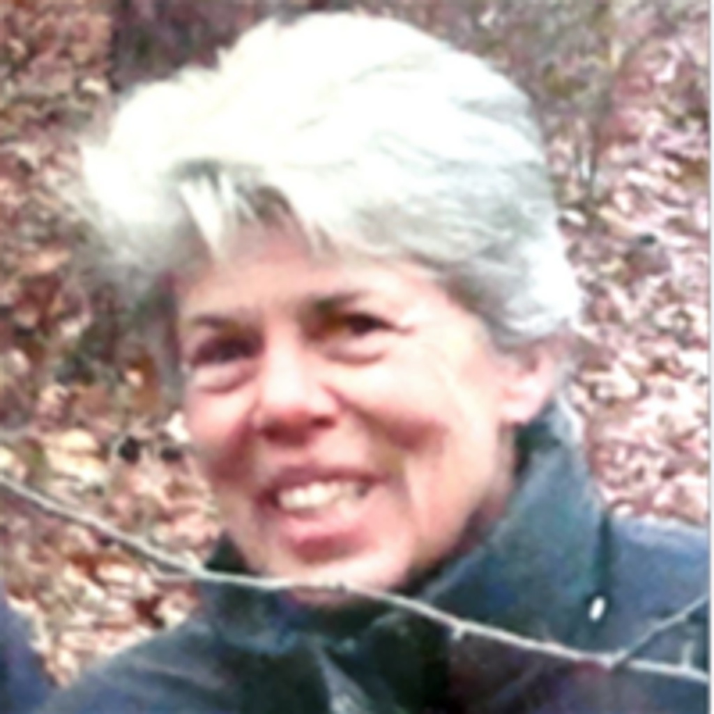 Noel Riedinger Johnson Profile Photo
