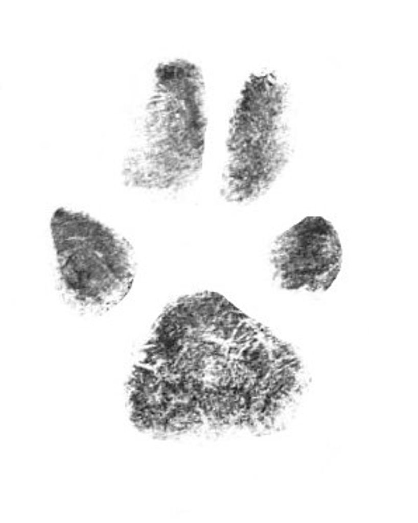 Emmy Aldrich Profile Photo