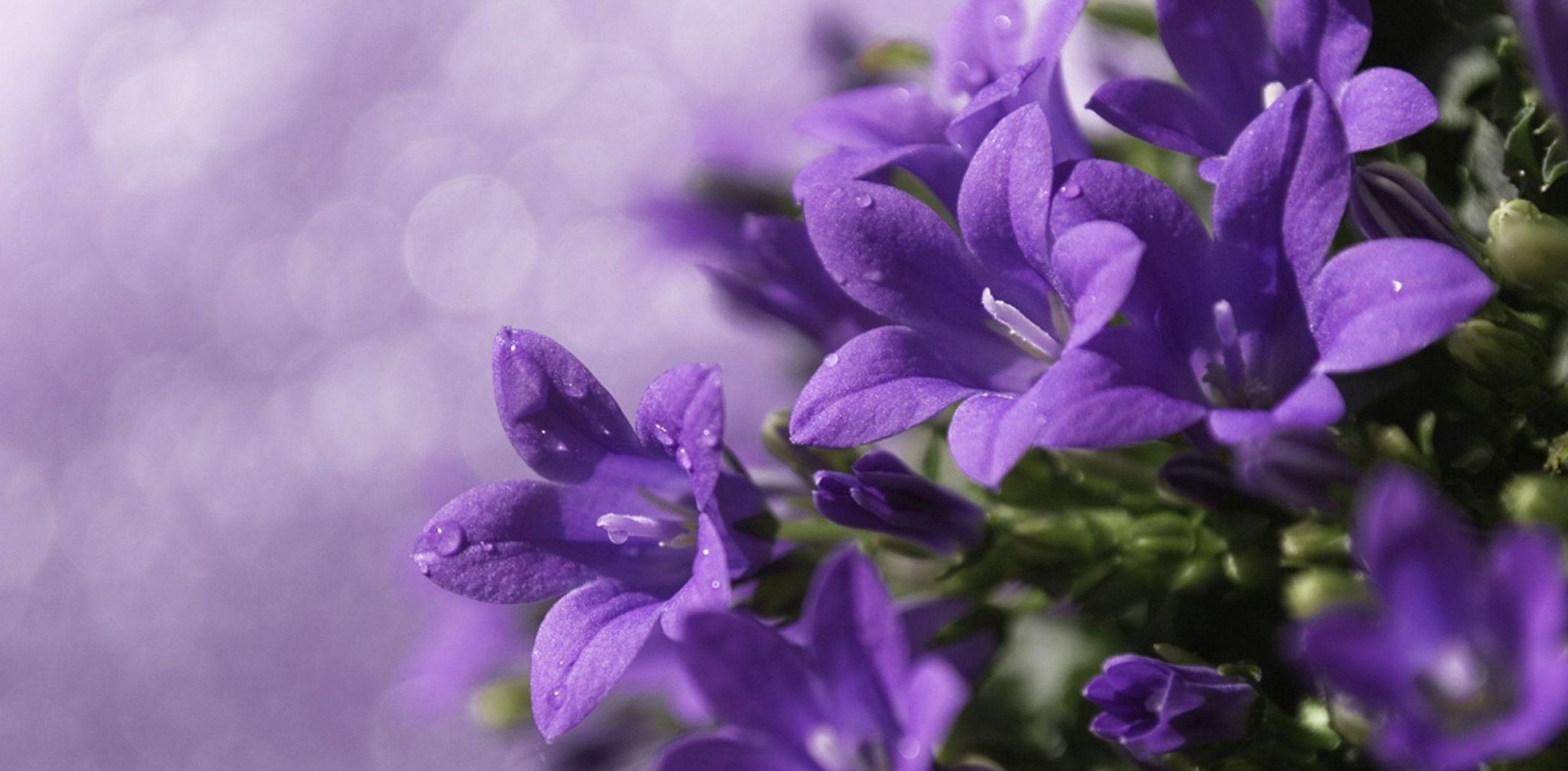 Cover photo for Shirley M. Platt's Obituary