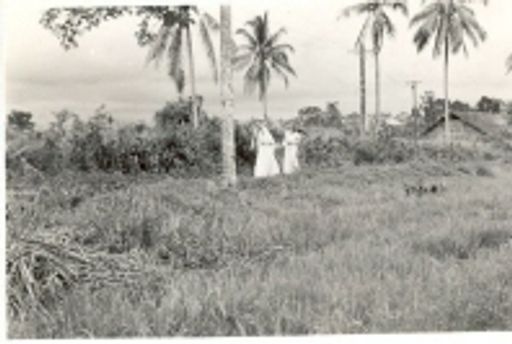 Alfred William Walck photo gallery thumbnail 5 of 7