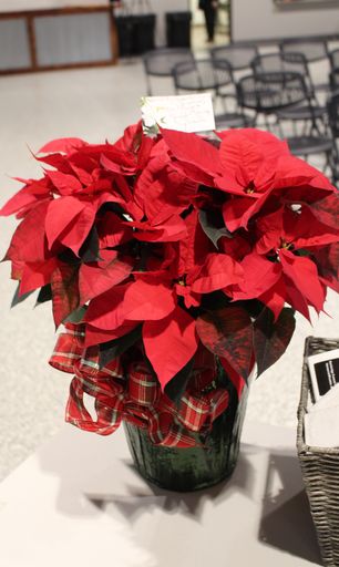Lori Jean Gaulrapp photo gallery thumbnail 36 of 41