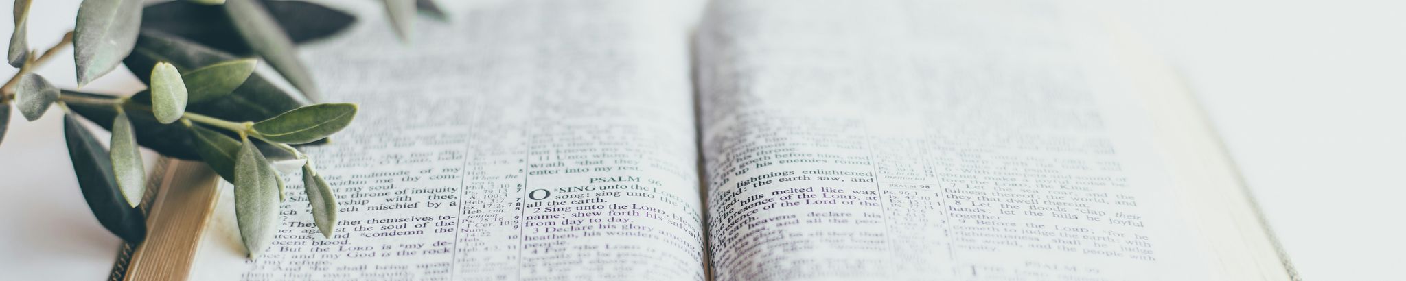 Cover for Billie Joan Adams-Polk's Obituary